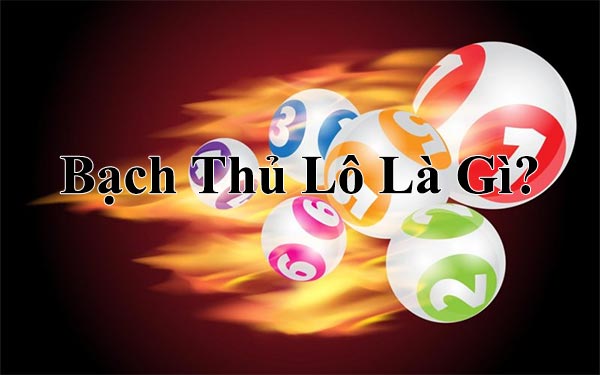Lô bạch thủ là gì?
