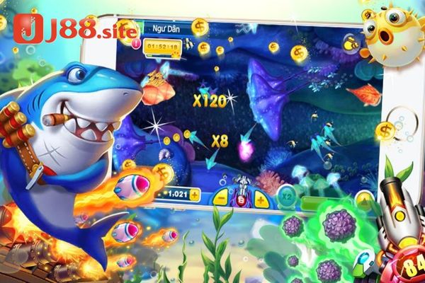 Cách chơi bắn cá thông minh không cố tiêu diệt các con cá ẩn nấp