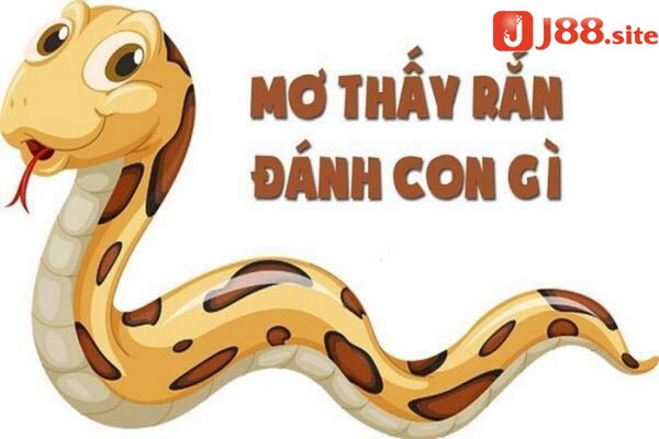 Nằm mơ thấy bắt rắn nên đánh lô gì trúng lớn?