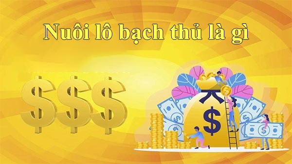 Nuôi lô bạch thủ là gì?