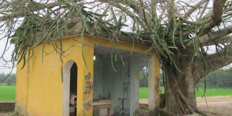 Xin số Thàn Tài Thổ Địa tại miếu hoang